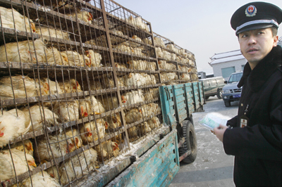 乌鲁木齐市家禽屠宰厂恢复生产 保障日用品供应稳定