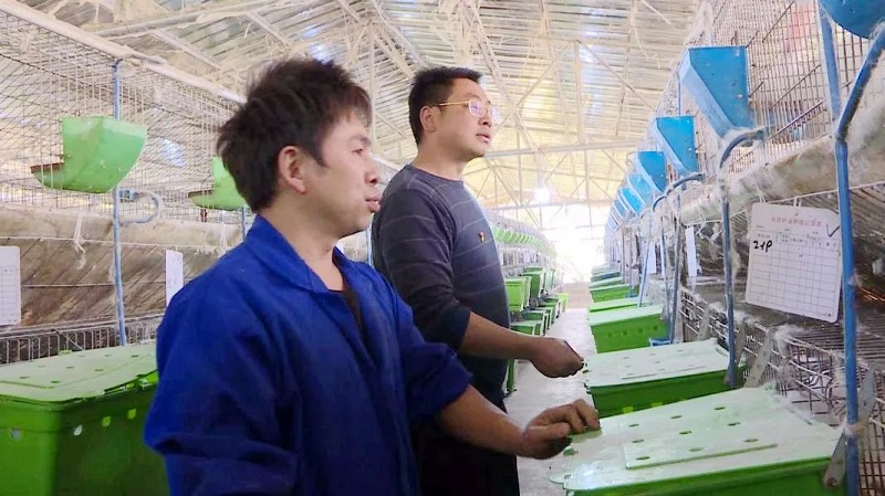 瓮安小伙的“蹦”动奇迹 家禽技术服务“蹦”出乡亲致富路
