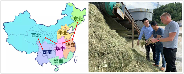 深度报道 | 成立三年即转型 一个饲料品牌的胆识与远见