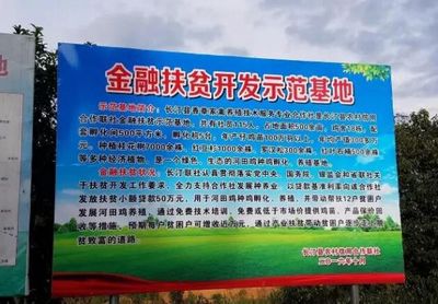 根植乡土，服务三农 中国农村信用社六十年屹立不倒的精神密码