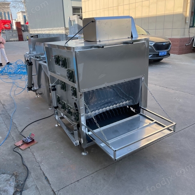 现代化家禽脱毛技术 鹅拔毛机与家禽技术服务解析