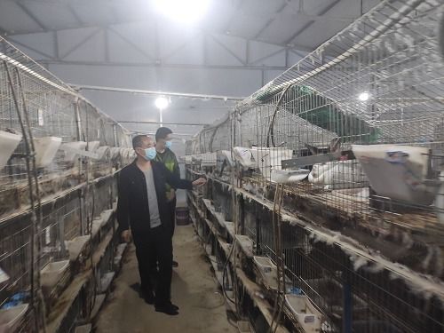 内江市市中区就业服务中心 强化后续跟踪服务，发挥创业补贴扶持家禽技术行业